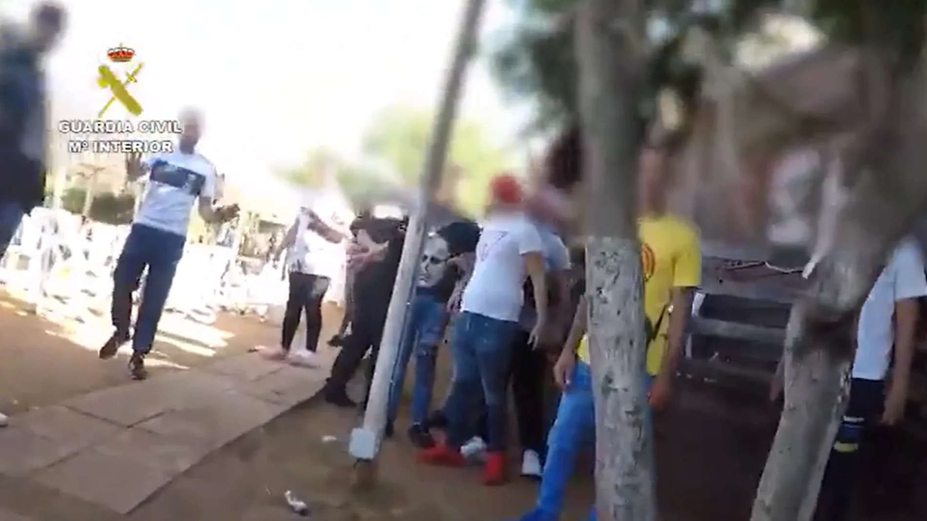 La Guardia Civil sorprende a 120 personas reunidas por una pelea de gallos