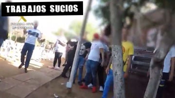 Peleas de gallos en El Palmar de Troya