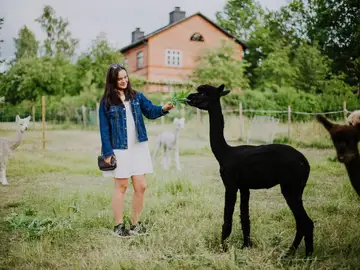 Alquila un finlandés virtual Alquila un finlandés virtual