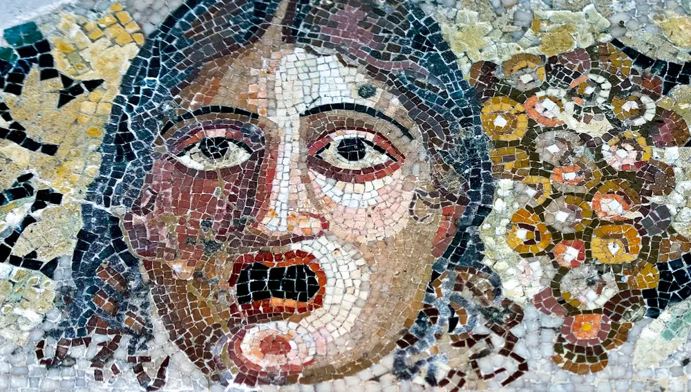 Mosaico Domus Romana