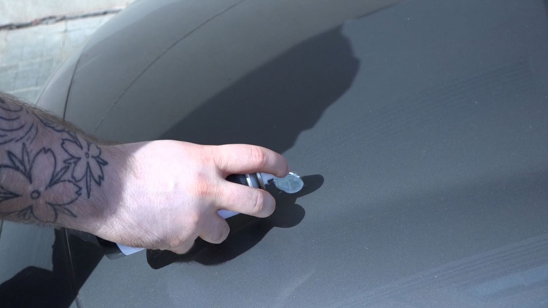 Excremento de p&aacute;jaro