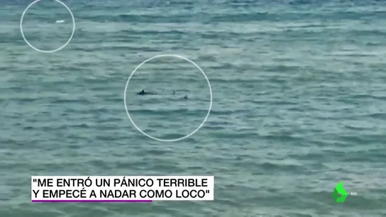 Un nadador paralímpico huye de dos tiburones en una playa de Girona: "Me entró un pánico terrible" Un nadador paralímpico huye de dos tiburones en una playa de Girona: "Me entró un pánico terrible"