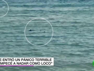 Un nadador paralímpico huye de dos tiburones en una playa de Girona: "Me entró un pánico terrible" Un nadador paralímpico huye de dos tiburones en una playa de Girona: "Me entró un pánico terrible"