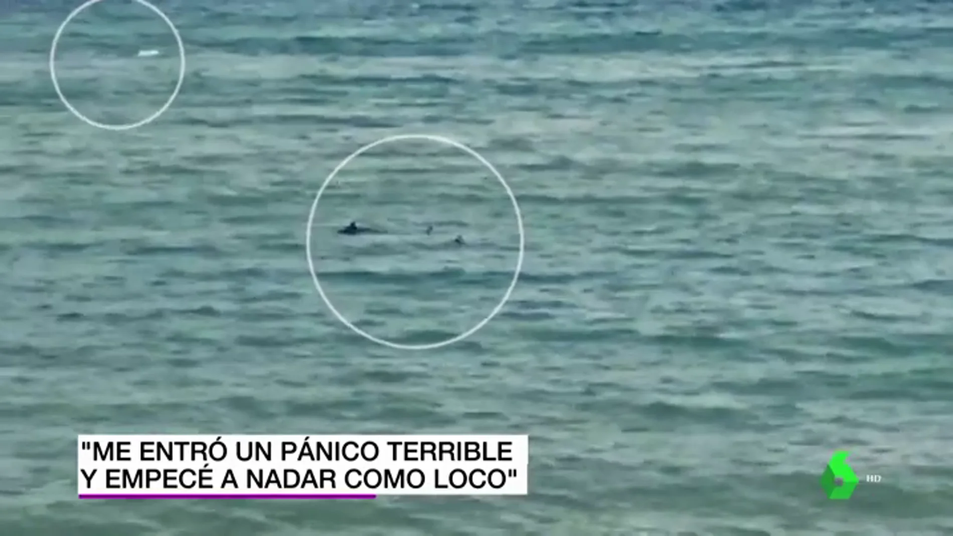 Un nadador paralímpico huye de dos tiburones en una playa de Girona: "Me entró un pánico terrible"