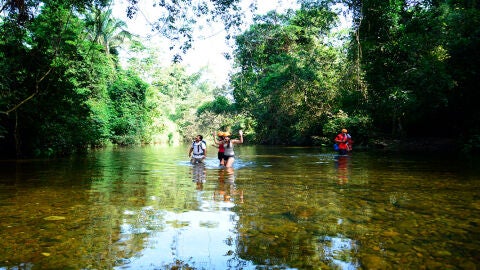 Reserva natural Tapir Mountain, Belice