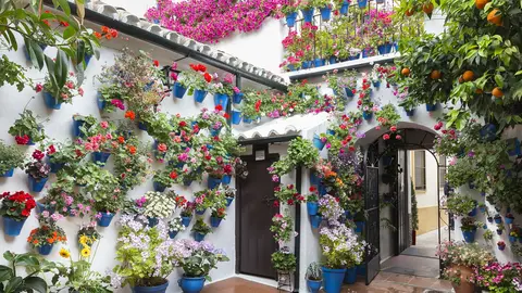 Patios de Córdoba Patios de Córdoba