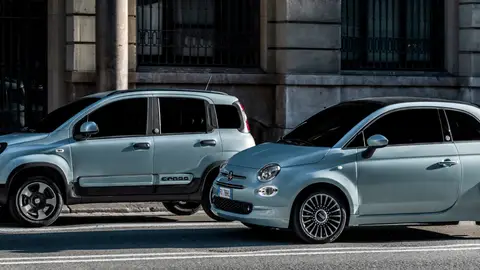 Fiat D-Fence Pack Fiat D-Fence Pack