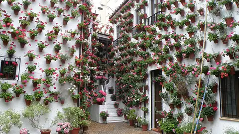 Patios de Córdoba Patios de Córdoba