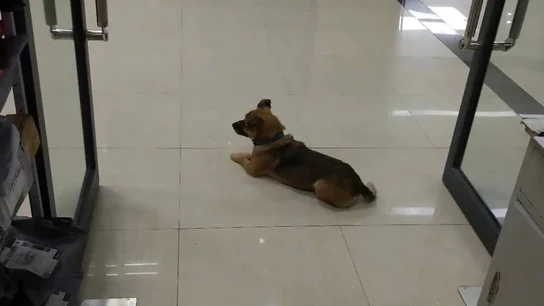 Xiaobao en la puerta del hospital Xiaobao en la puerta del hospital