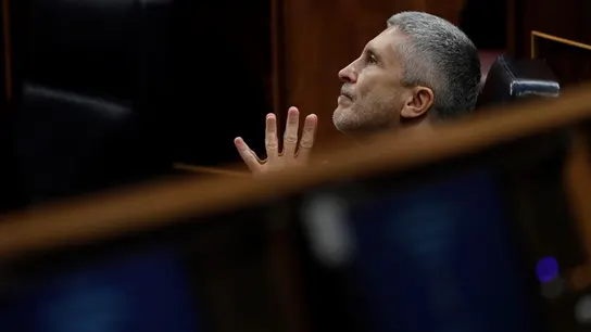 El ministro del interior, Fernando Grande Marlaska, durante la sesión de control El ministro del interior, Fernando Grande Marlaska, durante la sesión de control