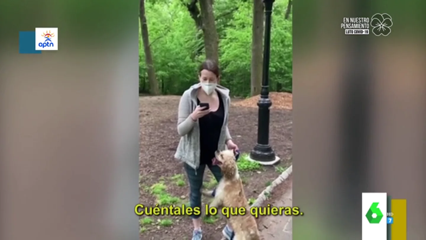 Polémico vídeo racista: un afroamericano le pide que ate a su perro y ella le denuncia Polémico vídeo racista en Central Park: un afroamericano le pide que ate a su perro y ella le denuncia a la Policía por "amenazas"