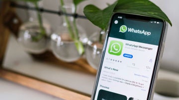 WhatsApp WhatsApp