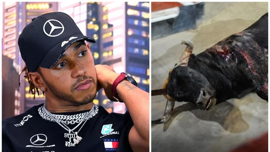 Lewis Hamilton, contra la tauromaquia en España Lewis Hamilton, contra la tauromaquia en España