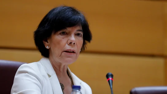 La ministra de Educación y Formación Profesional, Isabel Celaá La ministra de Educación y Formación Profesional, Isabel Celaá
