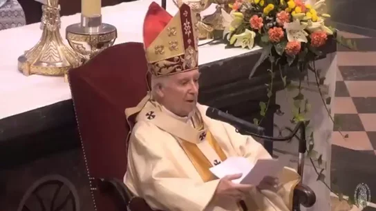 El cardenal Cañizares dice que la vacuna del coronavirus se hace "a base de fetos abortados": "Es obra del diablo" El cardenal Cañizares dice que la vacuna del coronavirus se hace "a base de fetos abortados": "Es obra del diablo"