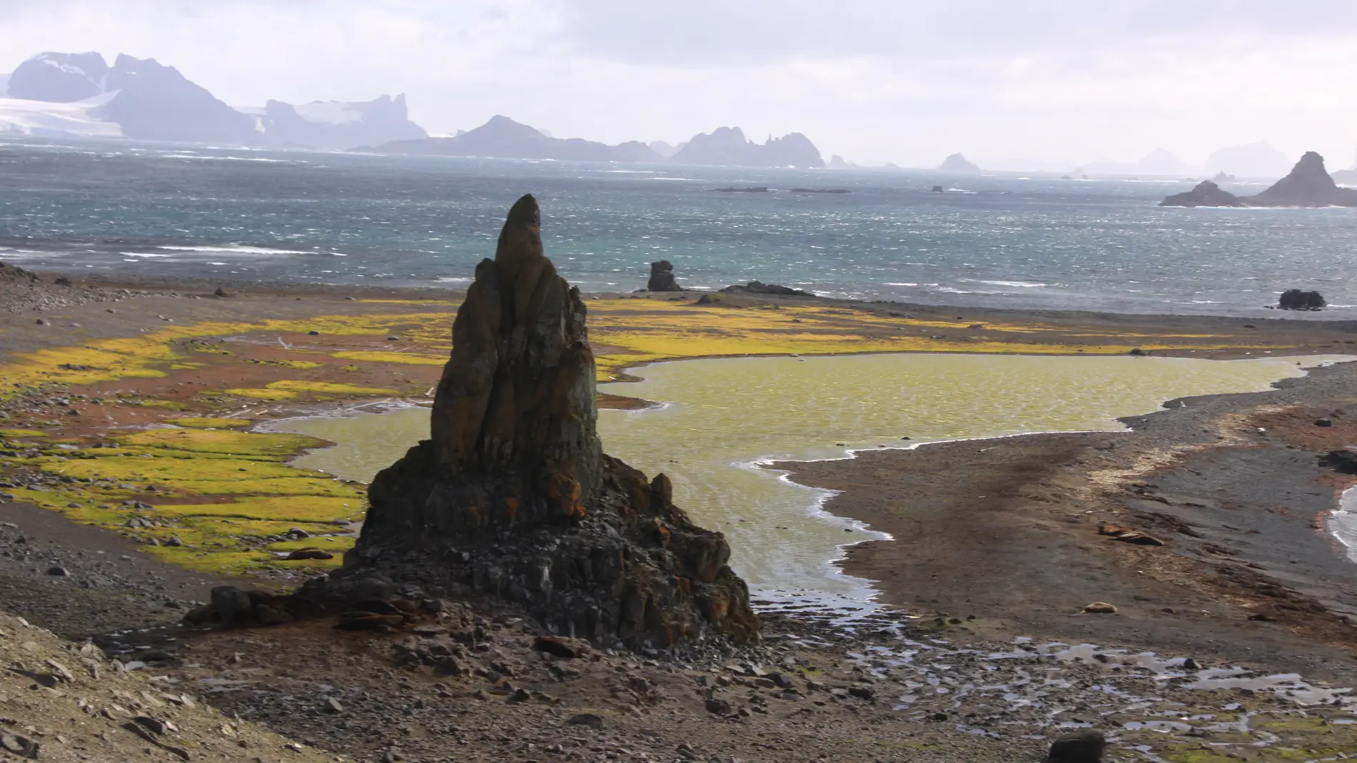 Proponen una nueva forma de gestionar el turismo antartico