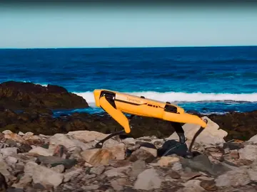 Boston Dynamics Spot Boston Dynamics Spot