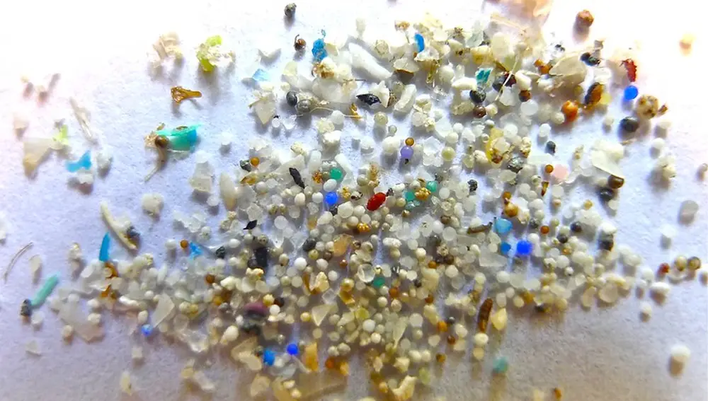 No es cierto que todos los plásticos se descompongan en microplásticos y subsistan por siempre
