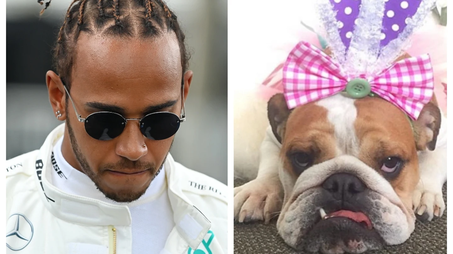 Lewis Hamilton y su perra Coco Lewis Hamilton y su perra Coco