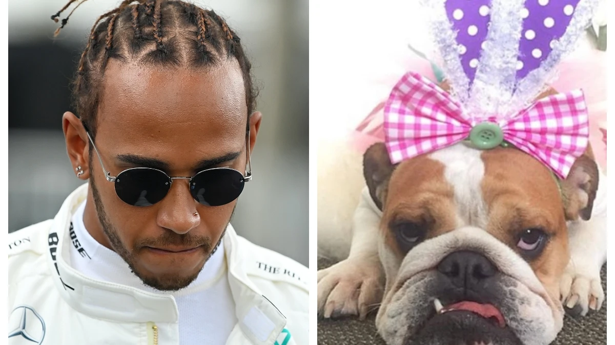 Lewis Hamilton y su perra Coco Lewis Hamilton y su perra Coco