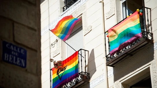 Las celebraciones del Orgullo 2020 se llevarán a cabo de forma online por el coronavirus Las celebraciones del Orgullo 2020 se llevarán a cabo de forma online por el coronavirus
