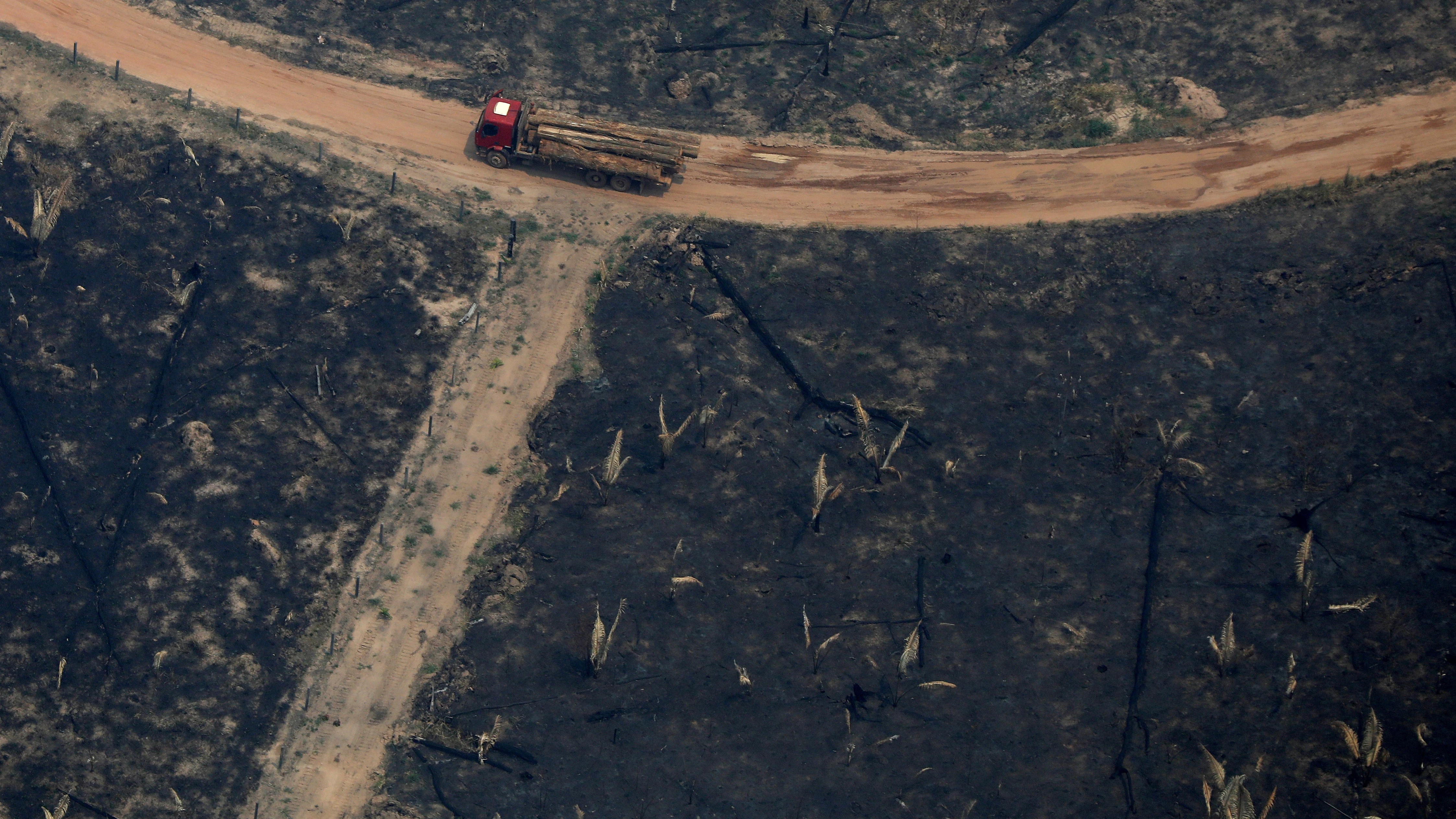 Imagen del incendio del Amazonas