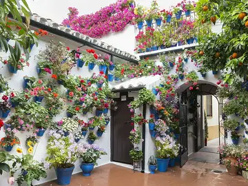Patios cordobeses Patios cordobeses