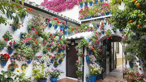 Patios cordobeses Patios cordobeses