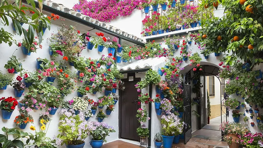 Patios cordobeses