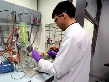 Técnicos de laboratorio trabajan en la empresa PharmaMar