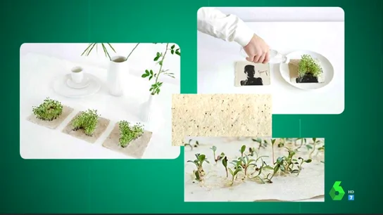 El emotivo gesto de Soraya Arnelas con el medio ambiente: un disco ecológico con algodón reciclado y semillas El emotivo gesto de Soraya Arnelas con el medio ambiente: un disco ecológico con algodón reciclado y semillas