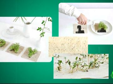 El emotivo gesto de Soraya Arnelas con el medio ambiente: un disco ecológico con algodón reciclado y semillas El emotivo gesto de Soraya Arnelas con el medio ambiente: un disco ecológico con algodón reciclado y semillas
