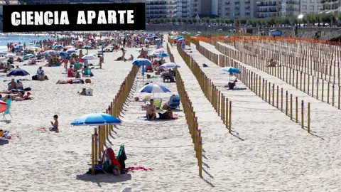 Decenas de personas en la Playa de Silgar en Sanxenxo prefieren no utilizar las parcelas que el ayuntamiento ha habilitado Decenas de personas en la Playa de Silgar en Sanxenxo prefieren no utilizar las parcelas que el ayuntamiento ha habilitado