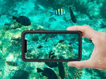 iPhone 11 en el agua