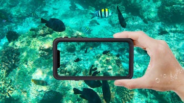 iPhone 11 en el agua