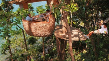 Koh Kood Tree Pods
