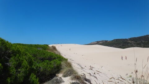 Ensenada de Bolonia