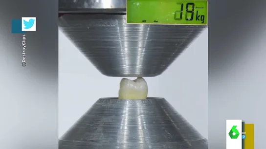 ¿Cuánta fuerza tiene un diente? El experimento que demuestra cuánto aguanta la dentadura humana ¿Cuánta fuerza tiene un diente? El experimento que demuestra cuánto aguanta la dentadura humana