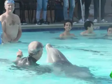 Crean delfines robóticos para sustituir a los que viven en cautividad Crean delfines robóticos para sustituir a los que viven en cautividad