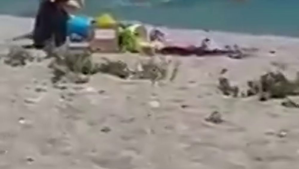 Kazajistán: Bañistas golpean con palos a una foca para que sus niños puedan tomarse fotos con ella Kazajistán: Bañistas golpean con palos a una foca para que sus niños puedan tomarse fotos con ella
