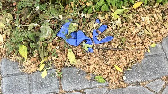 Un guante tirado en la calle Un guante tirado en la calle