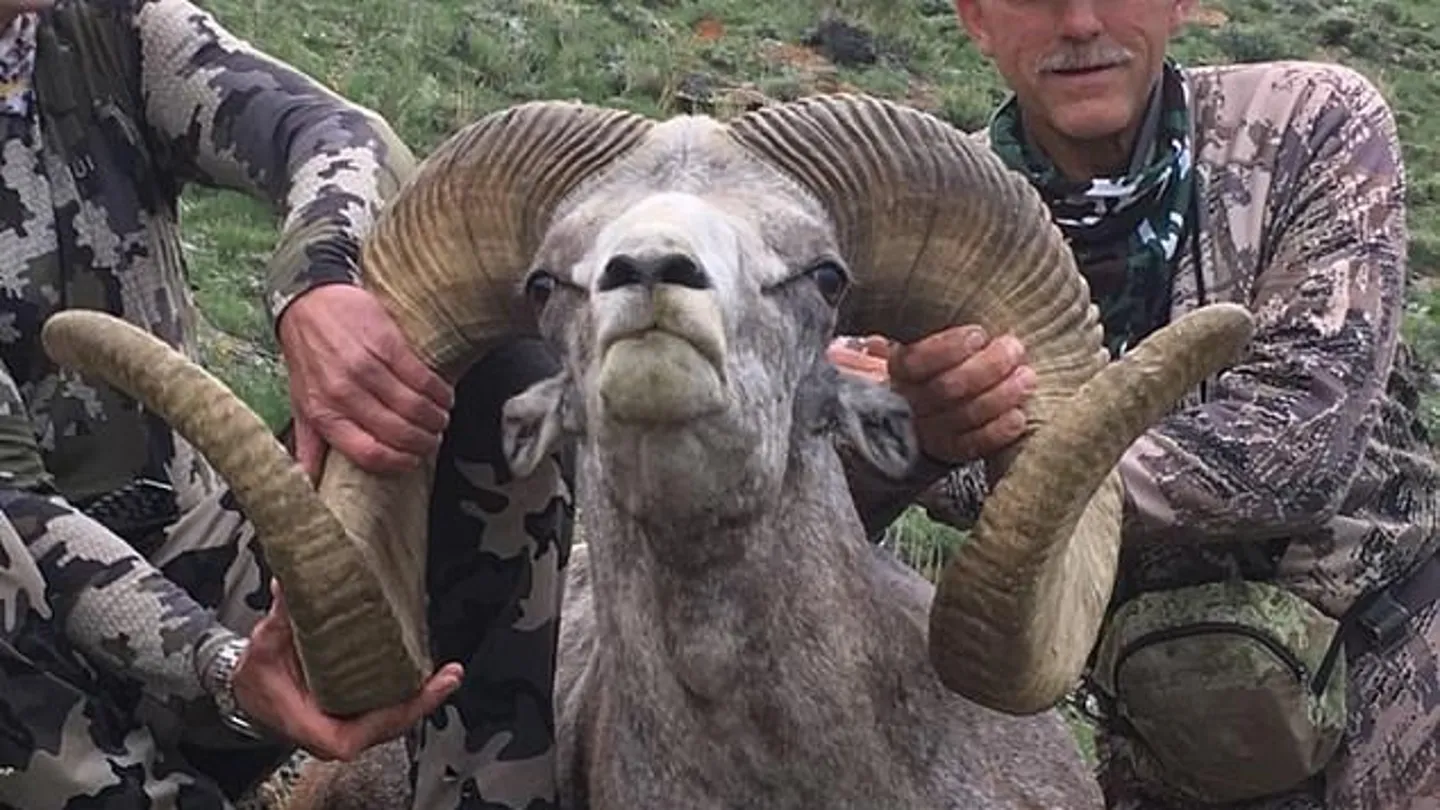 El hombre que mató al león Cecil caza a un carnero salvaje protegido en Mongolia El hombre que mató al león Cecil caza a un carnero salvaje protegido en Mongolia
