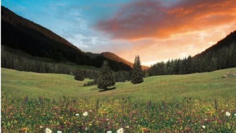 Paisaje del Jura