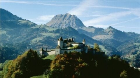 Vista de Gruyeres