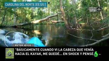 El aterrador momento en el que un kayakista es atacado por un caimán