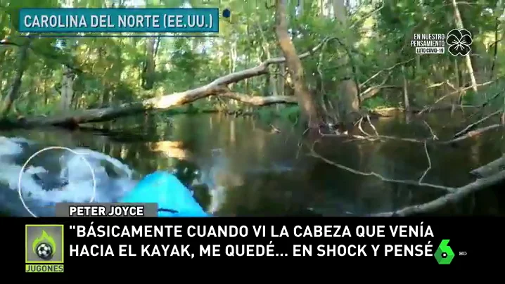 El aterrador momento en el que un kayakista es atacado por un caimán El aterrador momento en el que un kayakista es atacado por un caimán