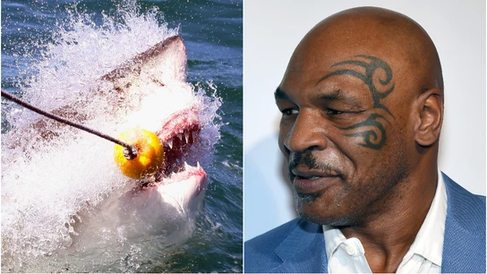 Mike Tyson competirá contra un tiburón en un programa de televisión Mike Tyson competirá contra un tiburón en un programa de televisión