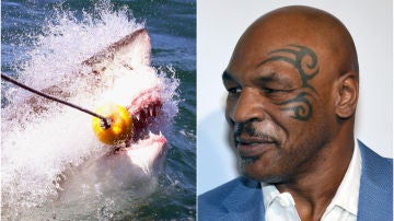 Mike Tyson competirá contra un tiburón en un programa de televisión