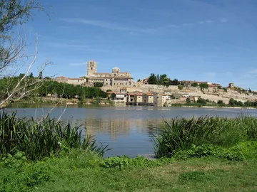 Zamora Zamora