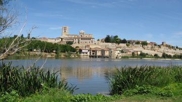 Zamora